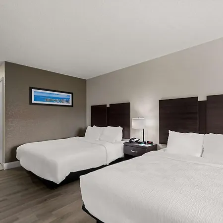 Quality Inn Sarasota I-75 Exterior foto