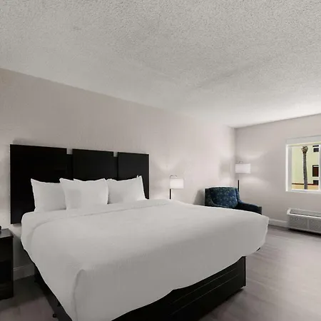 Quality Inn Sarasota I-75 Exterior foto